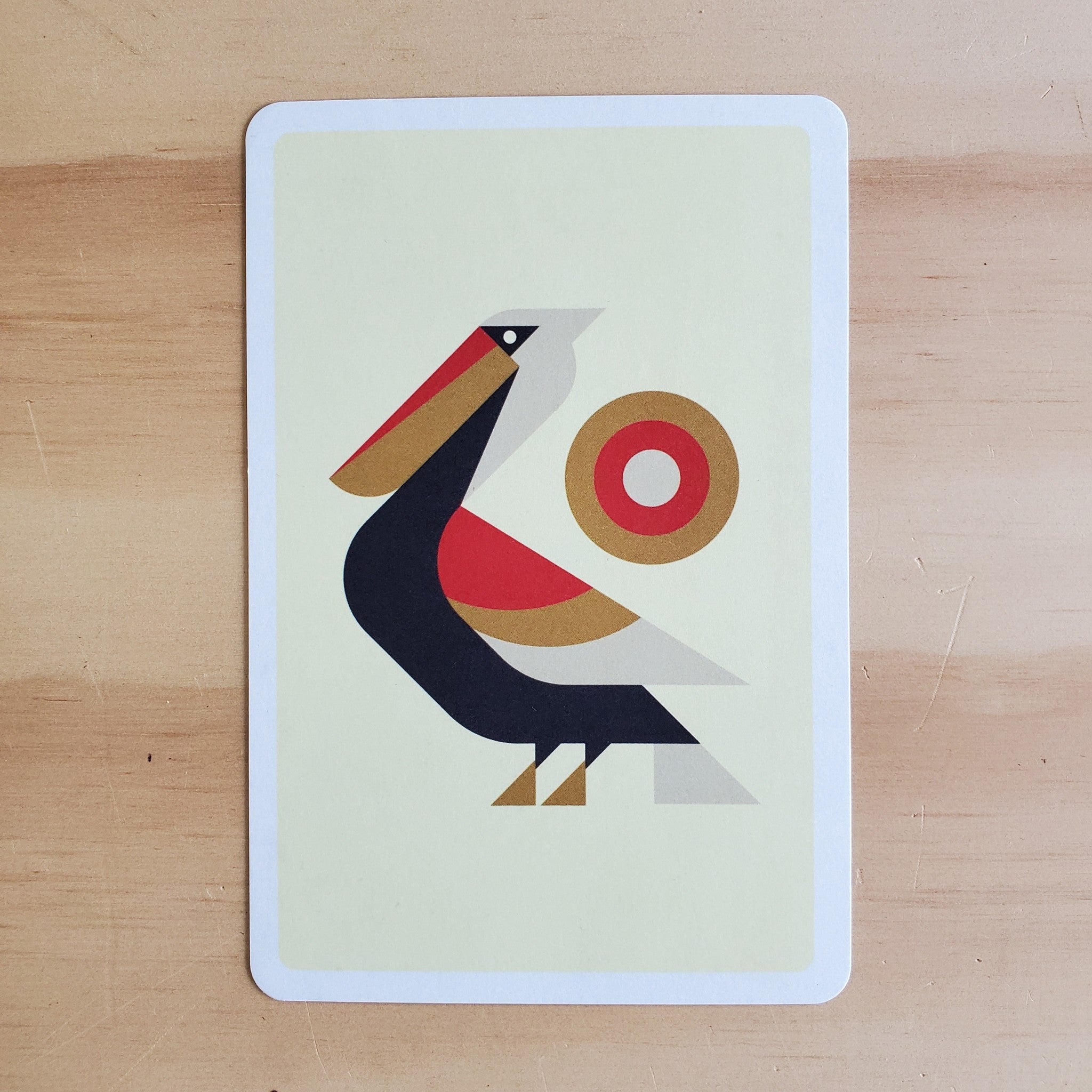 perched-pelican-postcard