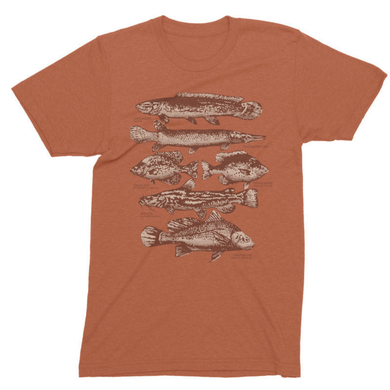 fish-of-louisiana